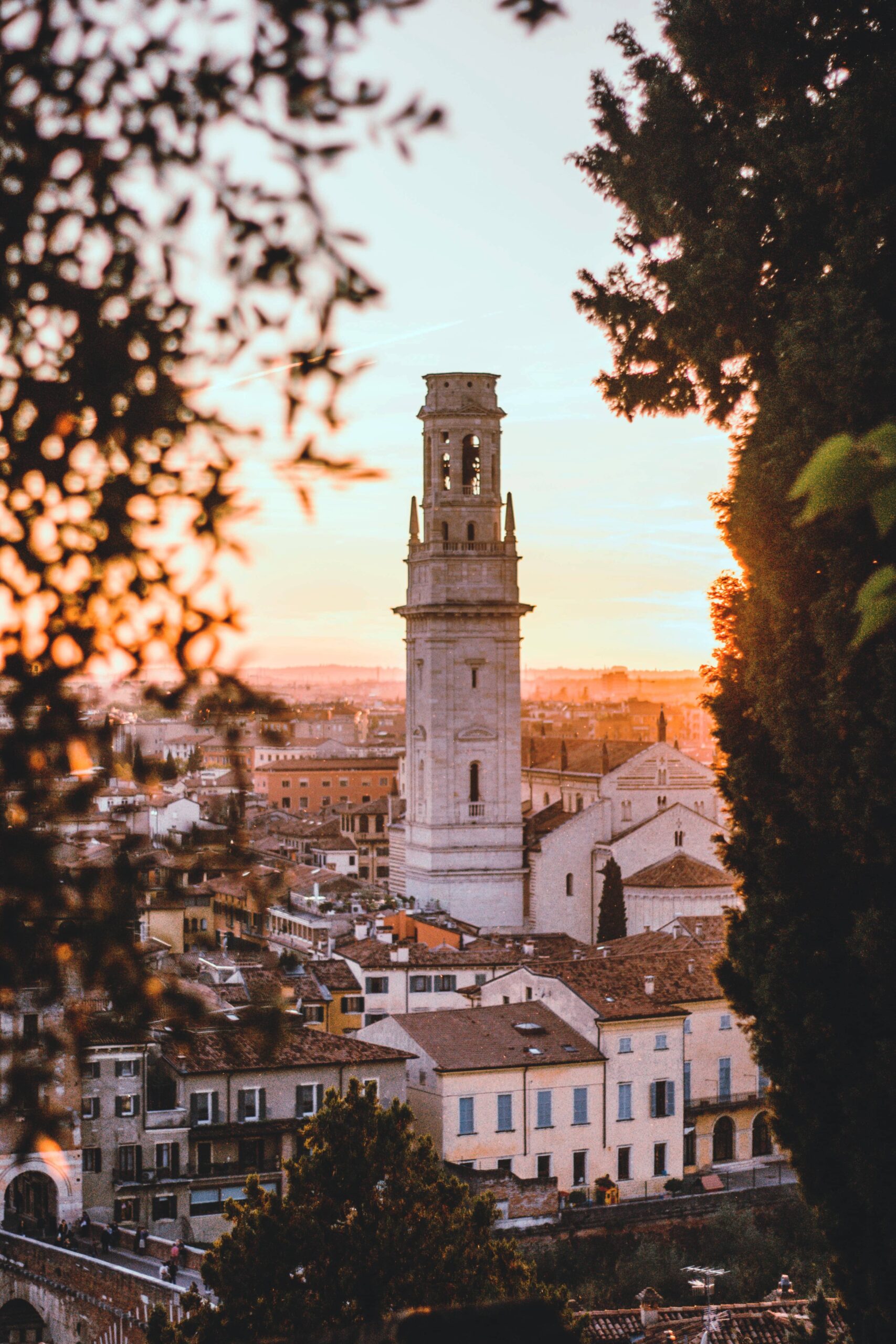 Consulente SEO Verona