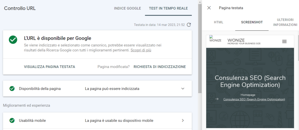 visualizza pagina testata google search console